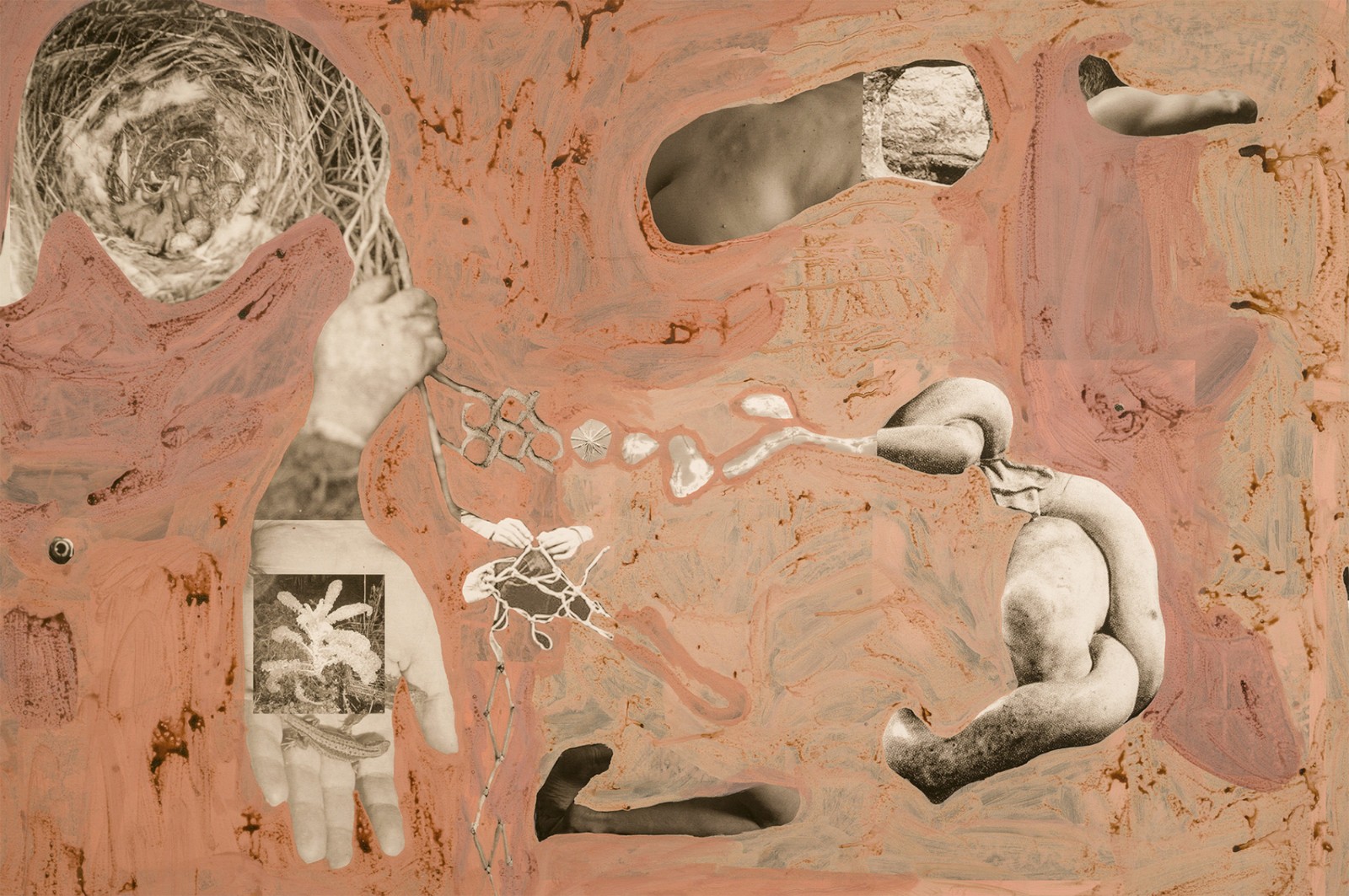 圖十二、《地勢(shì) (關(guān)于時(shí)間，關(guān)于身體)》 (細(xì)節(jié)圖)，O?zlem Alt?n，2019